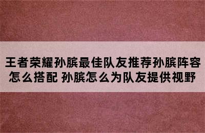 王者荣耀孙膑最佳队友推荐孙膑阵容怎么搭配 孙膑怎么为队友提供视野